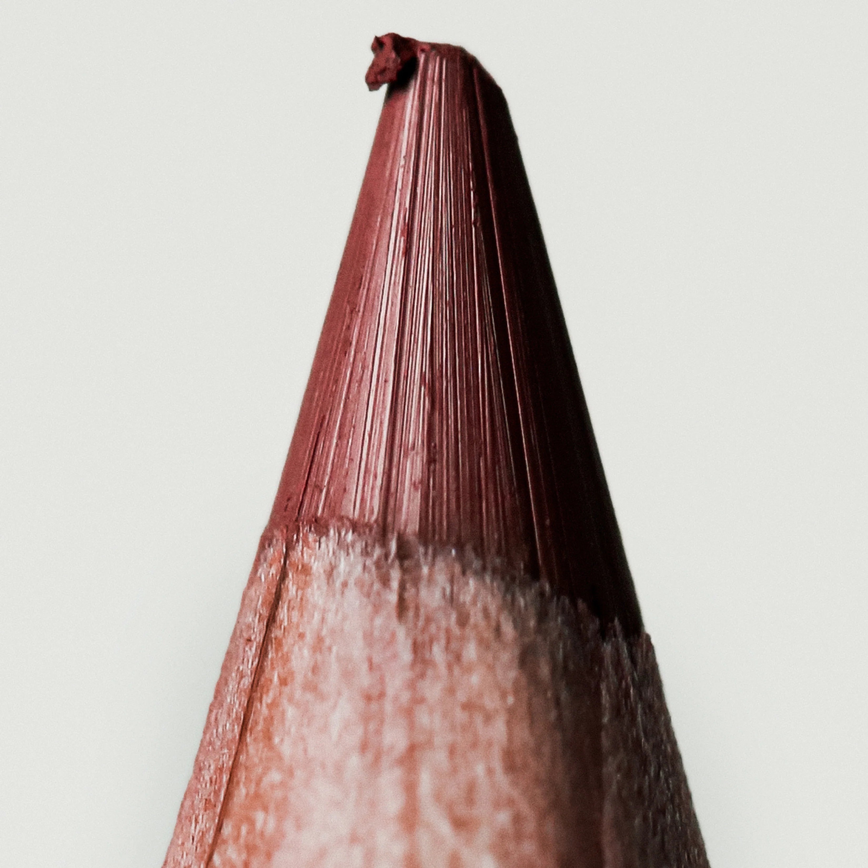 Anfisa ÂN-DEFINE Ceramide Liner